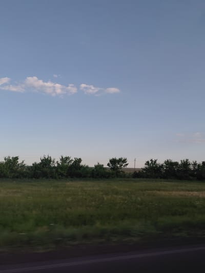 The image displays a landscape scene captured from a moving vehicle, likely on a road. The sky is a clear, pale blue with a few wispy white clouds scattered across the upper portion. Below the sky, a line of green trees and bushes forms a dense border, stretching across the frame. Beyond the trees, faint hints of a distant field or farmland can be discerned, with a single utility pole visible amongst the vegetation. The foreground is dominated by a blurry expanse of green grass, indicating motion blur from the camera. The bottom of the image shows a dark, blurred area, presumably the road surface. There are no people or animals present. The scene is characteristic of a rural or semi-rural environment.