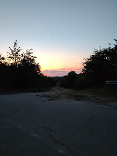 The image depicts a rural scene at dusk in Tolovitsa, Bulgaria. A paved road, cracked and weathered, occupies the foreground, leading towards a dirt track that disappears into a dark line of trees. The trees flank both sides of the road and the dirt track, their silhouettes stark against the twilight sky. The sky itself transitions from a pale blue near the zenith to soft hues of pink and orange near the horizon, indicating the setting sun. A thin crescent moon is visible in the upper portion of the sky. The overall impression is one of quiet solitude, with no people or animals present. The environment appears to be undeveloped, with the natural landscape dominating the scene.
