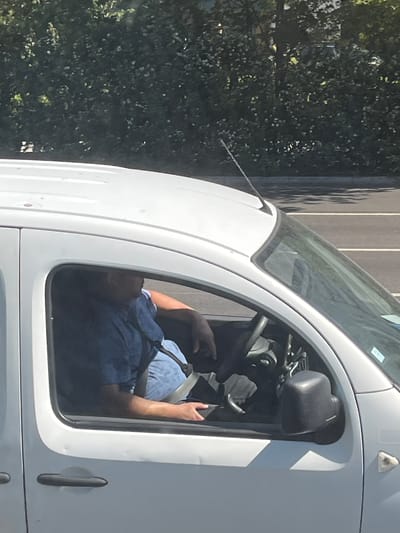 A person wearing a blue shirt and light-colored pants is seated in the driver's seat of a white van, with their left arm resting on the steering wheel. A seatbelt is visible across their torso. The van's interior, including the steering wheel and dashboard, is visible through the open driver's side window. Outside the van, dense green foliage forms a backdrop, and a road with white lane markings is visible in the distance. The scene appears to be captured during daylight.