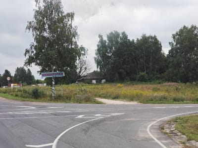 The image depicts a roadside scene in the village of Karaulovo, Russia. A grey asphalt road curves to the right, marked with white lane lines and arrows indicating traffic direction. A small, dilapidated building with a dark, sloped roof is visible in the background, surrounded by overgrown grass and wildflowers in shades of yellow and pink. To the left of the building, a tall birch tree stands prominently. Above the tree, a blue sign with red lettering reads "ИНЖМОНТАЖ" (Inzhmontazh), likely an advertisement or company name. Further to the left, a white car and a circular traffic sign are partially visible. The sky is overcast with grey clouds, suggesting a cloudy or rainy day. The overall environment is rural and appears somewhat neglected.