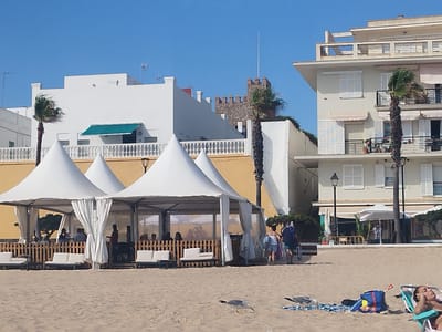 This image depicts a sunny day on a sandy beach in Rota, Spain. In the foreground, two seagulls are present on the sand, with a beach chair occupied by a person in the lower right corner. Further back, a row of white, tent-like structures provides shaded seating areas for beachgoers. People are visible seated inside these structures, some engaging in conversation and dining. A wooden fence separates the seating area from the beach. Behind the tents, a light yellow wall is visible. In the background, several buildings rise, including a modern, light-colored building with balconies and shutters, and a white building with a green awning. A distinctive stone tower, reminiscent of a castle, is also visible among the buildings. Palm trees are scattered throughout the scene, swaying in the breeze. The sky is clear and blue, indicating fair weather.