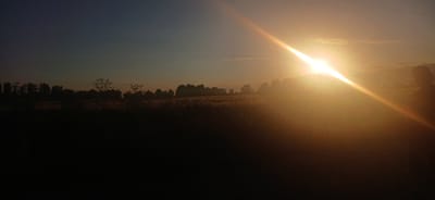 The image depicts a rural landscape at sunset, with the sun prominently featured on the right side of the frame, casting a strong glare and lens flare. The sky transitions from a deep blue at the top to a warm orange and yellow near the horizon. A silhouetted treeline runs horizontally across the middle ground, obscuring details of any structures behind it. In the foreground, a dark, silhouetted area suggests a field or possibly a road. To the far right, a partial silhouette of a person is visible, facing away from the camera and towards the sunset. The scene appears to be a natural environment, possibly in or around Mihaylovka, Kyrgyzstan, given the prompt's context. The lighting conditions indicate a time of day with low light and strong backlighting.