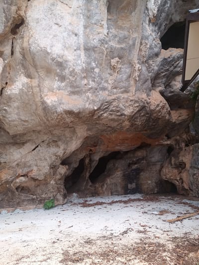 The image depicts a cave entrance in Thap Put, Thailand. The cave is formed in light gray limestone, with variations in texture and color. The entrance is wide and low, with a sandy floor covered in scattered leaves. A small patch of green vegetation is visible at the base of the cave wall. A signpost is seen on the right edge of the frame, partially obscured by the cave structure. The lighting suggests an outdoor environment. No people or animals are visible.