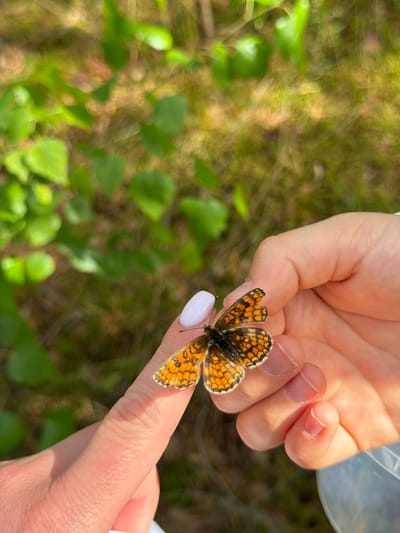 A close-up shot captures a small butterfly perched on a person's finger, with another hand gently supporting it. The butterfly has orange and black patterned wings. The person's fingernails are painted with a light color. The background is blurred, showing green foliage and the natural environment, suggesting a location outdoors. The scene does not provide specific information that can link it to the city of Mucenieki, Latvia.