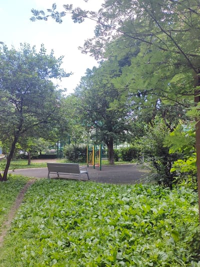 The image depicts a playground area with lush green vegetation, located in the city of Putilkovo, Russia. A grey metal park bench sits on a paved path, facing a playground area. The playground features yellow and green metal swing sets. Tall trees with dense green foliage frame the scene, casting shadows and creating a natural canopy. The ground is covered with thick, vibrant green grass and broad-leafed plants. The sky above is bright and appears to be overcast. There are no people visible in the image. The environment suggests a public park or residential courtyard setting, common in urban areas.