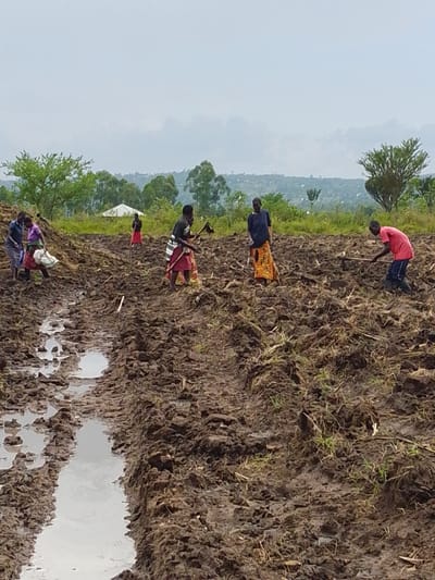 In a muddy field under a cloudy sky, several people till the land. Some use hoes, turning over the dark, damp soil. A water-filled trench cuts through the foreground. Trees dot the horizon with a few buildings visible in the distance. Some individuals carry bags and bundles, possibly seeds or supplies, while others work the earth with tools. The overall scene depicts agricultural labor in a rural setting.