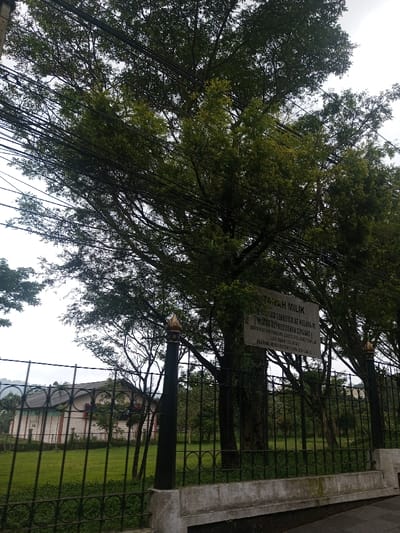 A weathered sign reading "TANAH MILIK" is affixed to a tree behind a black metal fence. The sign denotes the land as property of the State Secretariat of the Republic of Indonesia. Power lines cut across the view of lush green trees. Behind the fence is a green grassy area and a building with a white facade. A hillside is visible in the distance.