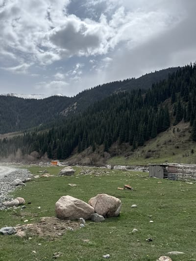 This landscape image, likely taken in Grigor'yevka, Kyrgyzstan, captures a vast, mountainous region under an overcast sky. The scene is dominated by a densely forested mountain range, stretching from the left to the right across the mid-ground and background. Patches of snow are visible on distant peaks towards the upper left, indicating high elevation.
The sky above is filled with soft, textured grey and white clouds, suggesting an overcast daytime. In the foreground and mid-ground, a wide expanse of vibrant green grass covers a gently sloping terrain, dotted with numerous light-colored boulders and smaller rocks. A dirt or gravel path runs along the lower portion of the scene, separating the grassy field from what appears to be a valley floor or dry riverbed.
On the grassy slope, near the base of the forested mountain, a rustic wooden structure stands, possibly a shed or small shelter, featuring a light-colored roof and wooden walls. A simple fence made of vertical wooden posts is visible next to this structure. Further to the left, a smaller, distant structure with an orange roof can be observed deeper in the valley. A tiny, faint animal, possibly a dog or fox, is barely discernible in the grass near the main wooden structure. The overall impression is one of a remote, natural, and peaceful mountain environment. There is no visible text in the image.