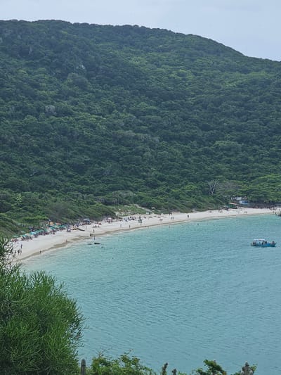 This elevated wide shot depicts Praia do Forno, a crescent-shaped white sand beach located in Arraial do Cabo, Brazil. In the foreground, dense green coastal vegetation, including succulent-like shrubs, partially obscures the lower left corner. The midground features a calm bay with clear, turquoise-blue water showing subtle surface ripples. Multiple indistinct human figures are visible wading or swimming in the shallow water near the shore. A light blue motorized boat, equipped with a white canopy, is anchored in the mid-right section of the bay.
The white sand beach is densely populated with individuals. Dozens of people are present, with many seated under numerous colorful beach umbrellas (predominantly blue, green, and yellow) and on beach chairs. Other individuals are walking along the waterline or standing in small groups. At various points along the rear of the beach, nestled against the base of the hill, are several small, simple structures, likely temporary kiosks or shacks. The background is dominated by a steep, heavily forested hill covered with a dense canopy of dark green trees and shrubs. The sky above the hill is uniformly light gray, indicative of overcast conditions, with a few small dark specks, likely birds, faintly visible.