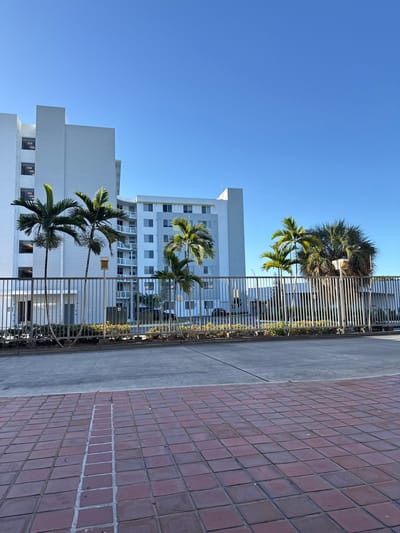 This image displays an exterior daytime scene in Hialeah, United States of America, under a clear, light blue sky. The foreground presents a red-brown brick paver surface. Beyond this lies a section of grey concrete pavement. A light-colored metal fence, composed of vertical bars, spans horizontally across the mid-ground. Behind this barrier, a multi-story building complex with white and light grey facades is visible, featuring numerous windows and several balconies. Multiple palm trees are situated behind the fence; three slender palms are on the left, with denser, more mature palm foliage to the right. Partially obscured dark-colored vehicles are visible parked within the complex area behind the fence. No human subjects are present in the scene.