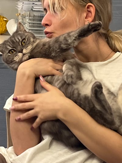 The image depicts an indoor scene in Finskiy Briz, Russia, featuring a blonde individual holding a domestic shorthair cat. The individual, visible from the chest up, has blonde hair pulled into a ponytail and wears a white t-shirt with a thin gold chain necklace. Their left arm cradles a grey tabby cat with prominent golden eyes, which is held on its back against the individual's torso. The cat's front paws are extended upwards, and its head is turned to gaze directly at the viewer. The individual's visible fingernails are manicured with a pink/purple glitter polish. The blurred background shows a yellow decorative object, a white ceramic dish, and stacked clear plastic organizers, indicating a domestic environment.