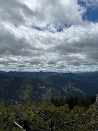A landscape photograph, oriented vertically, presents a view from a high altitude. The sky, occupying the left side, is filled with striated, gray and white clouds, revealing patches of blue sky. The right side shows a steep drop into a forested mountainous region. Lush green vegetation covers the slopes. In the extreme foreground on the right, branches of a coniferous tree with dark green needles extend into the frame. No people are visible. The location is not identifiable as Giovren, Bulgaria.