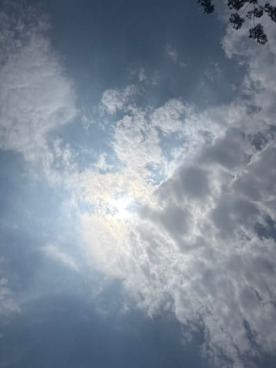 The image displays a vibrant daytime sky over Tres de Mayo, Mexico, characterized by a mix of blue sky and extensive cloud cover. The sun, a brilliant source of light, is prominently visible in the central right portion of the frame, piercing through a bank of clouds and casting a radiant glow. This creates a strong lens flare effect and bright highlights within the surrounding clouds.
The clouds themselves vary in density and form, ranging from light, wispy formations to thicker, grey cumulus clouds that obscure parts of the sky. Some clouds exhibit darker grey tones, suggesting greater thickness or shadow, while others are bright white, illuminated by the direct sunlight. The sky transitions from a lighter, almost ethereal blue near the sun to a deeper, more saturated blue in areas with fewer clouds.
In the upper left corner, dark silhouettes of tree branches with clusters of leaves are visible, extending into the frame. These branches appear dark against the bright sky, suggesting they are backlit by the sun. The scene conveys a sense of dynamic weather, with shifting clouds and periods of bright sunshine. There are no people, objects (other than natural elements), specific events, or visible text in the photograph.