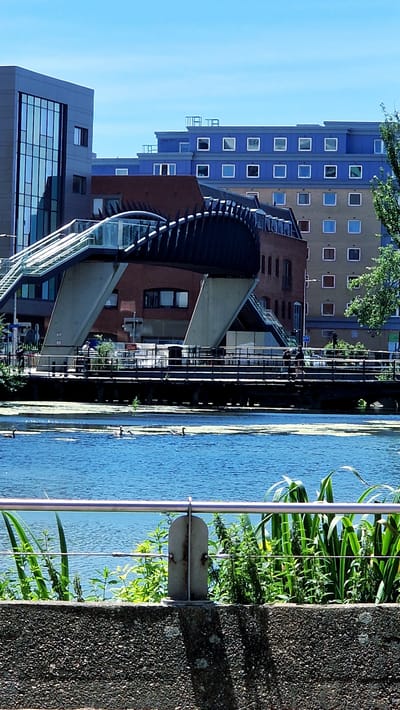 The image captures a view of the Brayford Waterfront in Lincoln, United Kingdom. In the foreground, a concrete wall topped with a metal railing encloses the scene. Beyond the railing, lush green foliage grows alongside the waterfront. The blue water of the Brayford Pool is visible, with several Canada geese swimming on its surface. In the midground, a dark wooden pedestrian bridge spans the water, with two individuals walking across it. Behind the bridge, a striking modern pedestrian bridge with a curved, dark metal structure supported by two large concrete pillars is prominently featured. This bridge appears to be an escalator or inclined walkway leading upwards. Further in the background, a series of buildings rise, including a modern glass-fronted building on the left, a brick building with a reddish-brown roof, and a light brown building with many square windows. The sky above is a clear, bright blue.