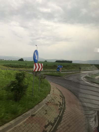 The scene depicts an overcast day at a road intersection or exit ramp in a rural or semi-rural area, consistent with the region around Nicolae Bălcescu, Romania, given the destination sign for "Brașov Unești." The asphalt road in the foreground is wet, reflecting light and indicating recent rainfall. To the left, a paved curb or sidewalk of red and beige hexagonal tiles curves along the roadside, bordered by vibrant green grass and wild vegetation, including some red-flowered plants.

Two prominent road signs are visible on the left side of the road. The uppermost is a blue circular mandatory sign with a white arrow pointing diagonally downwards and to the right, indicating the required direction of travel. Below it is a rectangular red and white chevron sign, with multiple white chevrons pointing to the right, warning of a sharp curve or a turn to the right. A black lamppost extends from the top of the blue circular sign.

Further along the road and to the right, another set of blue signs is visible. A rectangular direction sign points to the right with "BRAȘOV" written above "UNEȘTI," indicating destinations. Below this is a smaller blue circular sign with two white arrows, one pointing left and one pointing right, typical for indicating a roundabout or an intersection with options for multiple directions.

A metal guardrail runs parallel to the main road, separating it from expansive green agricultural fields. In the mid-ground, a cluster of trees sits within the fields, and in the far distance, rolling hills or mountains are visible under the cloudy sky, partially obscured by atmospheric haze. The image appears to be captured from inside a vehicle, with subtle reflections on the wet road surface. No people are visible.