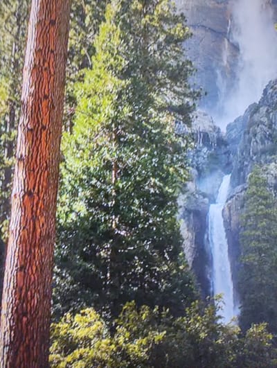 The image depicts a natural scene featuring a waterfall cascading down a rocky cliff face, surrounded by lush green trees and foliage. In the foreground, a large, textured tree trunk is prominently visible on the left side. The waterfall itself is a white stream of water against a backdrop of grey rock and mist. The overall environment suggests a wilderness area or a national park. The location in the city of Rechytsa, Belarus, is not visually discernible from the image itself.