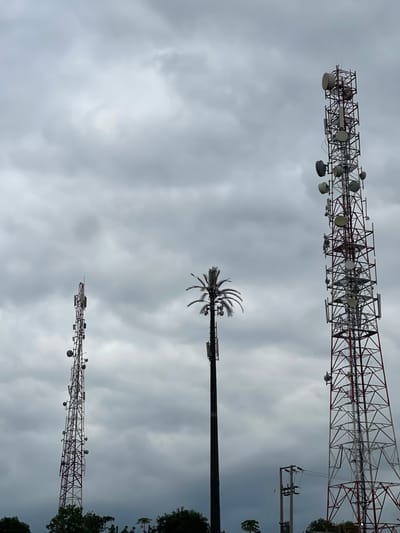 Three cell towers stand against a cloudy sky in Immigration Quarters, Nigeria. The tower on the left is a standard lattice tower with multiple antennas. In the center, a cell tower designed to resemble a palm tree, complete with artificial fronds, is positioned between the other two. The tower on the right is a larger, red and white lattice tower, also equipped with numerous antennas. Below the towers, a line of dark green trees is visible, and to the right, a utility pole with power lines can be seen. The overall scene is overcast and muted in color.