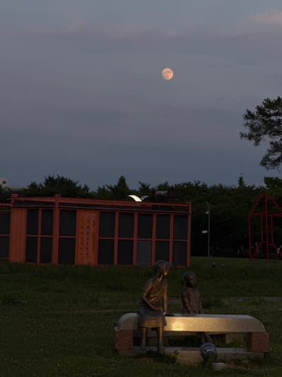 The image captures a dimly lit outdoor scene with the moon visible in the sky. The orientation of the image suggests it might have been taken on its side, as elements like the moon and the building appear upright when the image is rotated.

In the foreground, a memorial statue features two figures, possibly children, cast in bronze. They are positioned next to a light-colored stone monument. The statue is illuminated, highlighting the figures and the monument. To the left of the statue is a large, modern-looking building constructed with a reddish-brown framework and dark-paned windows. Some text is visible on the side of this building, though it is difficult to decipher clearly in the image.

The background includes a dense line of trees, suggesting a park or wooded area. Above the trees, a red abstract sculpture is partially visible. The sky is a dusky twilight blue, with a large, glowing full moon positioned in the upper left quadrant of the frame. The ground is covered in green grass, with small white flowers scattered throughout, indicating a spring or summer evening. The overall mood is peaceful and slightly melancholic, amplified by the low light and the presence of the moon. The location context points to Ansan, South Korea.