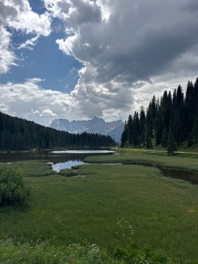 This vertical landscape photograph captures a serene natural scene in Auronzo di Cadore, Italy. The image is dominated by a reflective body of water on the right, bordered by lush green grass and tall, dark evergreen trees that form a dense forest line. The trees stretch diagonally across the frame, leading the eye towards a rugged mountain range in the distance, whose peaks are partially obscured by clouds.

The sky is a dramatic mix of dark, heavy storm clouds and bright, fluffy white clouds against a clear blue sky. Sunlight breaks through in places, illuminating parts of the landscape. The water's surface acts as a mirror, reflecting the sky, the trees, and the distant mountains, creating a sense of depth and symmetry.

The overall atmosphere is one of peacefulness and natural grandeur, with a hint of drama from the approaching or receding storm. The time of day appears to be late afternoon or early evening, judging by the quality of light. There is no visible text in the image. The scene depicts a tranquil natural setting, likely a lake or pond, nestled at the foot of mountains, with a dense forest flanking its edge.