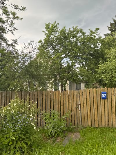 This is a medium shot of a wooden fence with a blue mailbox attached, displaying the number "57". The fence is made of vertical wooden planks of varying widths and shades of brown, with some signs of weathering. Behind the fence, lush green foliage and trees dominate the scene. In the middle ground, a light-colored building, possibly a house, is partially visible through the dense leaves of a large tree. The sky above is overcast and grey. In the foreground, to the left of the fence, is a patch of green grass and various flowering plants, some with small blue and white blossoms. The overall environment suggests a rural or suburban setting, potentially within the city of Kommolovo, Russia. No people or animals are visible in the frame.