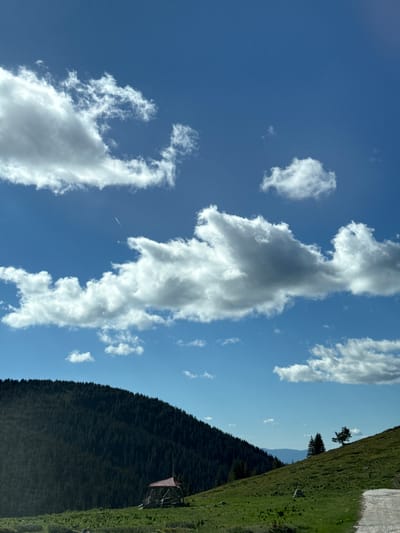 The image depicts a mountainous landscape with a clear blue sky filled with white, fluffy clouds. A dense forest covers a hillside in the background, while the foreground features a grassy slope. A small, rustic wooden structure with a red roof is situated on the hillside, partially obscured by vegetation. A dirt path is visible on the right side of the frame. The scene suggests a remote, natural setting. The location is identified as being in the city of Gela, Bulgaria. There are no people or animals visible in the image.