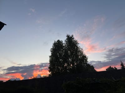 This is a photograph of a sunset over a residential area in the city of Severka, Russia. The sky is a gradient of colors, with pink and orange hues from the setting sun illuminating the clouds. In the foreground, silhouetted against the sky, are several trees and a dark, textured wall or roofline. The overall impression is one of a peaceful evening scene.