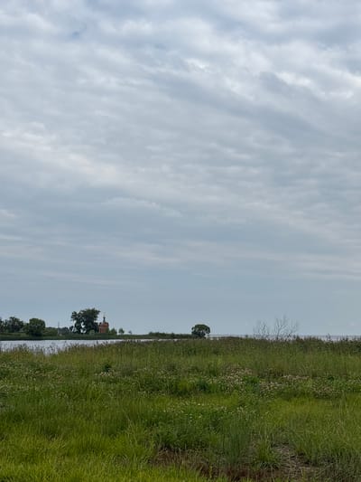 The image captures a serene landscape with a vast, cloudy sky dominating the upper portion. In the distance, a red-bricked church with a golden dome stands on the shore of a body of water, possibly the Sheksna River. The foreground is filled with lush green grass and wildflowers, creating a natural, untouched environment. The overall scene evokes a sense of tranquility and rural beauty. The location is the village of Breytovo, Yaroslavl Oblast, Russia.