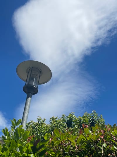This media file captures a low-angle view of a lamppost set against a bright blue sky with scattered white clouds. The lamppost is metallic gray with a wide, disc-shaped shade and a cylindrical, transparent casing that appears to house a light bulb. To the right of the lamppost, lush green foliage from a tree or shrub is visible, its leaves catching the sunlight. Some of the leaves have reddish-brown tips, suggesting new growth or a particular type of plant.
The scene appears to be outdoors during the daytime, with the bright sky and sunlight indicating clear or partly cloudy weather. The presence of a lamppost suggests an outdoor public space, possibly a street, park, or garden. No people are visible in the media file. There is no visible text. The overall mood is serene and natural, emphasizing the sky, vegetation, and the functional object of the lamppost. The location context of Karlsruhe, Germany, does not provide specific visual cues within the image itself.