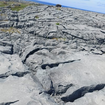 The image depicts a rocky, barren landscape with a vast expanse of gray limestone pavement in the foreground and middle ground. The pavement is characterized by numerous cracks, fissures, and weathered formations, suggesting a significant geological history. Sparse patches of dry grass and a few small green plants are scattered across the rocky terrain. In the background, a body of water, likely the ocean, meets a clear blue sky. The overall environment appears rugged and exposed, consistent with a coastal or elevated rocky area. The image does not contain any people or identifiable man-made structures. The location is identified as Seershin, Ireland, which is known for its limestone karst landscapes.