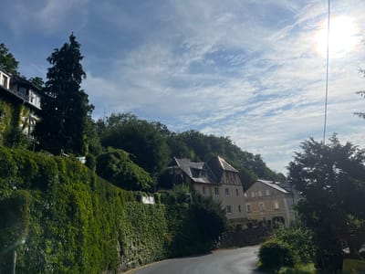 The image shows a view from a winding road in Freital, Germany. On the left, a steep embankment is covered in dense green ivy, leading up to a building partially obscured by foliage. A tall, dark green evergreen tree stands prominently against the sky. Further into the scene, several multi-story buildings are nestled on the hillside. One building, with a dark roof and mansard windows, features timber framing and cream-colored walls. Adjacent to it is a lighter yellow building with white shutters. Lush green trees and vegetation form a dense backdrop on the slopes. The sky is partly cloudy with cirrus clouds, and the sun is brightly shining in the upper right corner, creating a lens flare. The road itself is paved and curves out of view. There are no people or animals visible in the image.