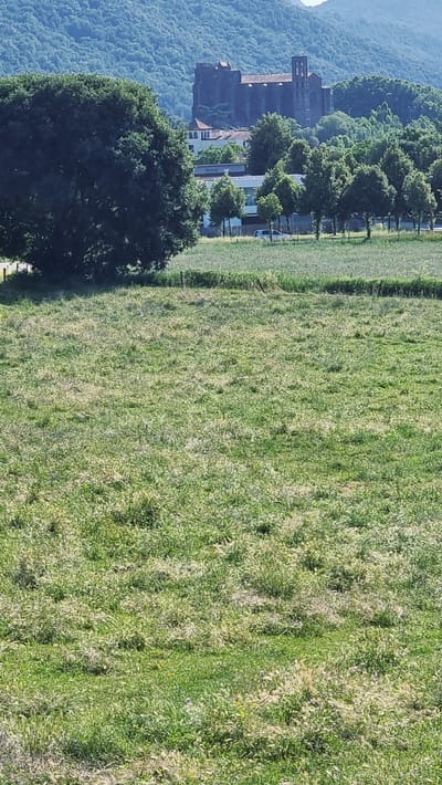The image shows a pastoral landscape with a large, dark-colored building resembling a monastery or castle in the background. The building is situated on a hill, surrounded by dense green trees. In the foreground, a vast, sunlit field of grass stretches across the frame. The grass is unevenly cut, with patches of taller growth interspersed with shorter, drier sections, giving it a somewhat wild and untamed appearance. A few sparse trees dot the field, and a low wire fence runs horizontally across the middle ground. A very large, dark green tree dominates the left side of the midground, its canopy casting a shadow over a portion of the field. The sky is a hazy blue, and the overall impression is one of a rural setting, possibly in the town of Sant Joan les Fonts, Spain, given the architectural style of the background structure. There are no people visible in the image.