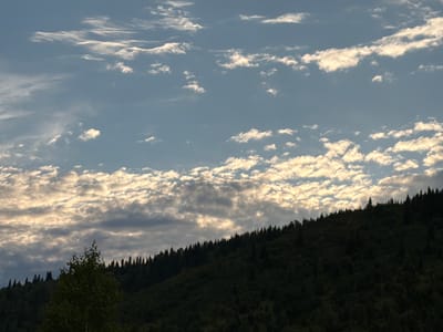 This image depicts a picturesque natural landscape, likely in Tashtagol, Russia. The scene is dominated by a densely forested hillside rising towards a sky filled with dramatic clouds. The time of day appears to be late afternoon or early evening, as indicated by the warm, golden light illuminating the upper portions of the clouds and casting a soft glow on the scene.

The hillside is covered in a dark, verdant forest, with the silhouettes of numerous pine trees clearly visible against the sky. A lone tree stands prominently in the foreground on the left side of the frame, its leaves a vibrant green, contrasting with the darker tones of the hillside. The sky above is a canvas of blue, streaked with wispy cirrus clouds and more textured stratocumulus clouds that catch the sunlight. The overall mood is tranquil and serene, evoking a sense of peace and natural beauty. There is no visible text in the image.