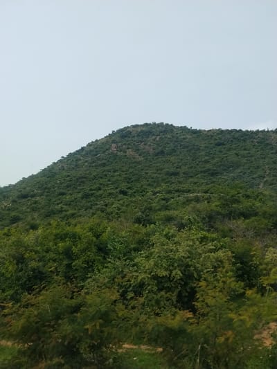 The image depicts a vast, densely forested hillside under a pale, overcast sky. The terrain is rugged and appears to be a natural landscape, likely a mountain or a large hill. The vegetation is predominantly green, with varying shades indicating different types of trees and bushes. In the foreground, closer trees are visible, with some exhibiting hints of yellow and brown foliage, suggesting seasonal changes or the presence of different species. The upper portion of the hillside is covered in a thick canopy of green foliage, dotted with occasional exposed rocks or reddish patches, possibly indicating soil or smaller rock formations. The sky is a uniform light gray, with no discernible clouds or sunlight. The scene suggests a rural or natural environment, devoid of any human presence or constructed elements. The location is identified as being in the city of Dorowa, Nigeria.