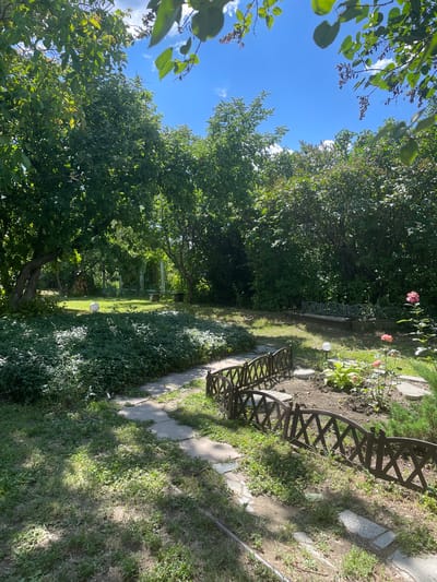 The image depicts a lush, sun-drenched garden in Krutets, Russia. The scene is dominated by dense green foliage, with mature trees casting dappled shadows on a winding stone pathway. In the foreground, a low, dark brown metal fence with an ornate criss-cross pattern encloses a small flower bed with pink roses and other flowering plants. Further into the garden, a stone bench is visible under the shade of a tree, and a round white object, possibly a garden ornament or a decorative ball, rests on the grass. The sky above is a clear blue with scattered white clouds. The overall impression is one of a tranquil, well-maintained garden on a bright summer day.