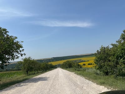 The image shows a rural landscape in Piscărești, Moldova, on a clear day. A gravel road stretches into the distance, flanked by lush green trees and fields. To the left, a cornfield is visible, while to the right, a vast expanse of bright yellow sunflowers dominates the scene. Rolling hills covered in green foliage form the backdrop, and a faint line of clouds streaks across the pale blue sky. The overall impression is one of peaceful countryside.