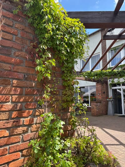 A close-up, eye-level shot captures a weathered brick pillar with vibrant green ivy climbing its surface. The ivy, with its distinctive five-lobed leaves, cascades downwards, some tendrils reaching towards the viewer. The bricks are varied in color, ranging from deep red to orange-brown, with visible mortar lines. Sunlight casts dappled shadows across the brickwork. In the background, a building with white walls and several windows is partially visible, along with a wooden pergola structure. The ground in front of the building appears to be paved with light-colored tiles. The scene is set outdoors under a clear blue sky with scattered white clouds. This image was taken in Duszniki, Poland.