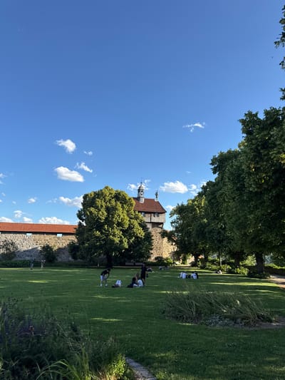 The image depicts a sunny day in a park adjacent to the Esslingen Castle walls in Esslingen am Neckar, Germany. Several people are scattered across the green lawn, some sitting in groups, others standing or lying down. A large stone wall with red-tiled roofing runs along the left side of the image, and a prominent tower of the castle is visible behind a large, lush green tree. The sky is clear blue with scattered white clouds, and more trees line the right side of the park.