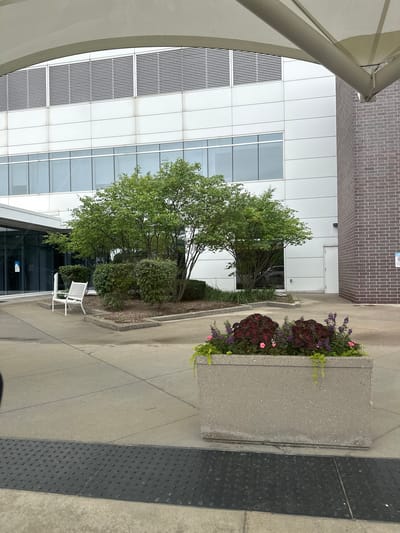 The image depicts an exterior scene in Hoffman Estates, United States of America, likely near a modern building. In the foreground, a large rectangular concrete planter is filled with a variety of plants, including dark red coleus and small pink and purple flowers, with some trailing greenery. Beyond the planter, a concrete pathway leads towards the building. A white metal bench is situated to the left of a cluster of trees and shrubs. The building itself features a predominantly white facade with horizontal panels and large windows. To the right, a section of brick wall is visible, alongside a white door. Overhead, a portion of a white awning or canopy is present. The ground is paved with concrete, and a section of textured black material, likely a tactile paving surface, is visible in the lower portion of the image. No people are present in the scene.