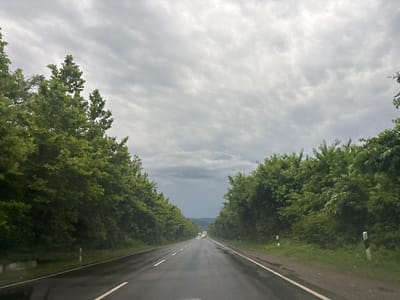 The image shows a straight, wet asphalt road lined with lush green trees on both sides, forming a tunnel-like effect. The road appears to be a highway, with white lines marking the lanes and the shoulder. Several vehicles, including cars and trucks, are visible in the distance, traveling in the same direction. The sky is overcast with heavy gray clouds, suggesting a gloomy or rainy day. The overall scene conveys a sense of travel or journey, possibly on a highway in a rural or semi-rural area. The location is identified as Samtredia, Georgia. There are no people clearly visible in the image, but the presence of vehicles indicates human activity. The wet road surface and the dense foliage suggest a temperate climate. The scene is serene yet somewhat somber due to the weather. There are small striped posts marking the side of the road.