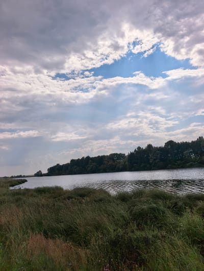 An outdoor, landscape, eye-level shot captures a wide, calm river bordered by lush green vegetation and a dense line of trees. The sky is filled with a dramatic arrangement of white and grey clouds, with patches of blue visible. The water's surface reflects the sky and is gently rippled. In the foreground, tall grasses sway, adding a sense of movement to the scene. The overall impression is one of natural serenity. The location is identified as Kuzmionovka, Russia.
