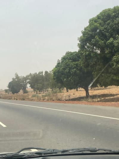 The image depicts a view from inside a vehicle, likely a car, traveling on a paved road. The road has a white dividing line. To the left of the road, trees line the roadside. The sky appears overcast or hazy. A portion of the vehicle's windshield wiper is visible on the right side of the frame. The location is presumed to be near Zangon Aya, Nigeria, based on the prompt.