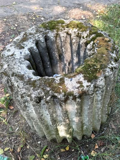 A close-up, top-down shot shows a large, circular, weathered stone object with a hollow center, resting on the ground. The stone is covered in patches of green moss and white lichen, indicating exposure to the elements. The object has a ridged or fluted exterior, resembling a large cogwheel or a segment of an ancient millstone. The texture of the stone is rough and pitted.
The ground surrounding the stone is a mix of dry grass, fallen leaves, dirt, and a paved or gravel path to the left of the frame. The vegetation appears somewhat overgrown, suggesting an outdoor, possibly neglected, location.
There is no clear activity or event taking place; the stone appears to be a static, possibly historical, artifact. The lighting suggests it is daytime, with sunlight casting shadows that highlight the stone's textures. The overall mood is one of age and natural decay. No people are visible in the image, and no text is discernable. The location context is Rudamina, Lithuania, which suggests a rural or historical park setting.