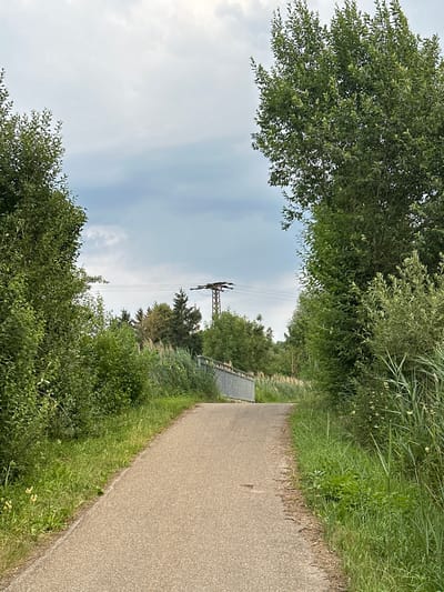 The image shows a paved path leading towards a metal fence, which appears to be part of a bridge or overpass. The path is flanked by lush green vegetation, including tall grass and trees. In the background, there are more trees and a utility pole with power lines. The sky is overcast with a mix of white and gray clouds. The scene is set in a natural outdoor environment, likely in or around Rudelzhausen, Germany, given the rural and wooded landscape. There are no people or animals visible in the image, and no actions or interactions are depicted. The overall impression is one of a quiet, somewhat somber, day in the countryside.