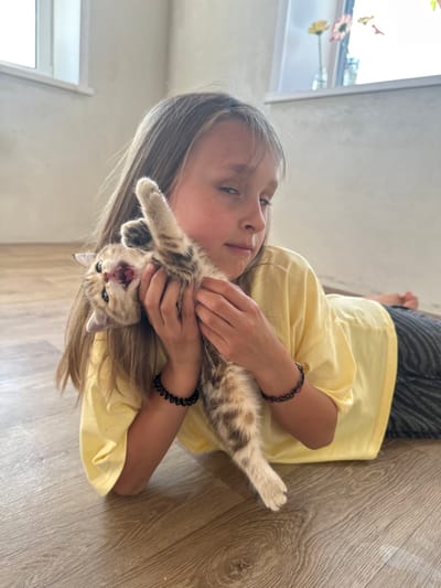 A young Caucasian girl with long, straight brown hair lies on a light wood floor, holding a tabby kitten. The girl is wearing a bright yellow t-shirt and dark striped pants. She is looking towards the kitten with a slight grimace, and the kitten is held upside down, with its mouth open as if meowing or yawning. The kitten's paws are visible, one extended upwards. The background shows a wall with a window through which sunlight streams in, illuminating a few flowers in vases. The overall setting appears to be an indoor domestic environment, likely a living room or bedroom. The image does not contain any discernible landmarks or features that would specifically place it within the city of Mokino, Russia.