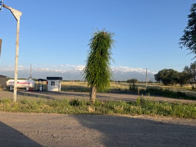 The image depicts a remote roadside scene in Karabulak, Kazakhstan, under a clear blue sky during what appears to be early morning or late afternoon due to the long shadows. The setting is a gas station with a white cylindrical tank labeled "M-TRANS GAS" and Cyrillic text, alongside a small attendant booth with a person visible through a window. A solitary, tall tree with dense green foliage stands prominently in the mid-ground, its branches cascading downwards. In the background, a range of snow-capped mountains stretches across the horizon, indicating a mountainous or high-altitude region. The foreground is a gravel road, with dry grass and weeds bordering it. The overall mood is one of quiet solitude and vastness, characteristic of a rural landscape.