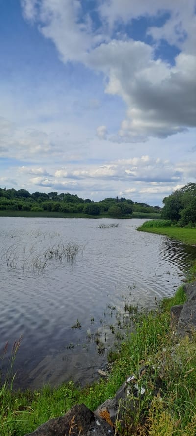 The image depicts a calm lake surrounded by lush green trees and vegetation, under a sky with scattered white and gray clouds. The foreground shows a rocky bank with tall grass and some visible debris. The water surface is rippled, reflecting the sky and the surrounding greenery. The scene appears to be a natural landscape, possibly a park or a recreational area within or on the outskirts of Castlebar, Ireland, given the mention of the city. There are no people or animals visible in the frame. The overall atmosphere is serene and natural.