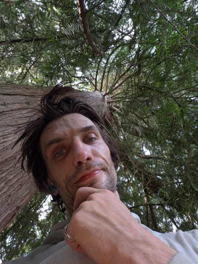This media file is a low-angle, close-up photograph taken from below, looking up at a person and a large tree. The subject is a man with dark, messy hair and a light complexion, appearing to be in his late twenties or early thirties. He is wearing a light-colored, possibly ribbed, long-sleeved shirt. His left hand is raised to his chin, and he is wearing a ring on his index finger. The man has a thoughtful or perhaps slightly pensive expression. Visible details on his face include stubble and what appears to be a small smudge or mark on his cheek. He has blue earrings in his visible ear.
The setting is outdoors, dominated by a large tree with rough, textured bark. The branches of the tree and lush green foliage fill the background, suggesting a forest or wooded area. The lighting indicates it is daytime, with sunlight filtering through the leaves, creating a dappled effect. The angle of the shot, looking upwards, creates a sense of being beneath or within the tree canopy.
No specific activity or event is clearly depicted, other than the person posing for the photograph. The emotion conveyed is ambiguous, possibly introspective or serene. There is no visible text in the image. The location context is West Vancouver, Canada, which aligns with the presence of such a tree and natural environment.