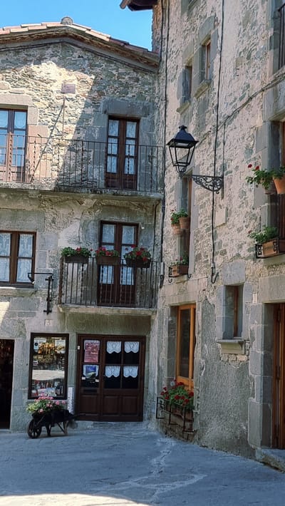This is a medium shot, exterior, eye-level photograph taken in Rupit, Spain, showcasing a narrow cobblestone street lined with ancient stone buildings. The sun is bright, casting shadows and illuminating the weathered stone facades. On the left, a multi-story stone building features a wrought-iron balcony on its upper level, adorned with potted red flowers. Below, two dark wooden doors are visible, one with frosted glass panes and the other with multiple small, white lace curtains. To the left of the doors, a shop window displays various items. In front of the shop, a black, vintage wheelbarrow filled with pink flowers is parked on the cobblestones.
The building on the right is also constructed of rough-hewn stone. It has a large, dark wooden door with a decorative metal handle and a window above it. A black wrought-iron lantern hangs from the wall to the right of the door, its design ornate. Flower boxes filled with red blooms are strategically placed on ledges and balconies on this building as well. The cobblestone street appears wet in places, with a light reflecting off the surface. The overall impression is one of historic charm and rustic beauty.