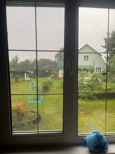 The image shows a view through a window of a backyard in Krasnoye, Russia. The weather appears overcast. On the left side of the window, a screen is visible, obscuring some of the details of the yard. The yard contains a green lawn, various trees and bushes, and a small structure that appears to be a well or a garden feature. There are also some pink flowers in the foreground. In the background, a light green house with a darker green roof is visible, along with another smaller building to its left. On the right side of the window, a bright blue plastic bag is placed on the windowsill. The window itself is divided into panes by white mullions.