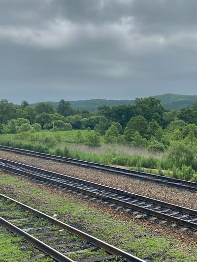 This is a vertical, eye-level, medium shot of multiple railroad tracks in the foreground, leading into a rural landscape under a cloudy sky. The tracks are made of dark metal rails and light brown gravel ballast, with green grass growing between the wooden ties. In the middle ground, there is a field of tall green grass and reeds, bordered by a dense line of various green trees and bushes. The background consists of rolling hills covered in more green trees. The sky is overcast with shades of gray and white clouds. There are no people or animals visible in the image. The scene appears to be located in Gvozdevo, Russia.